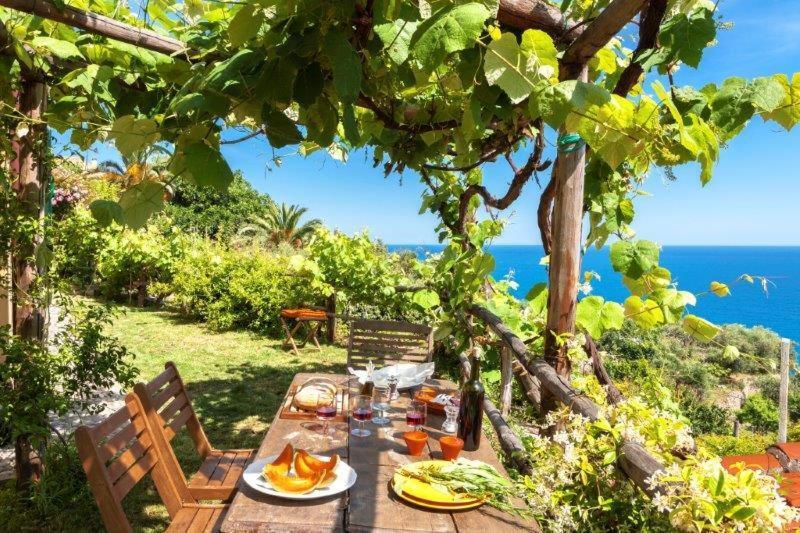 فندق فينالي ليغوريفي  Agriturismo La Selva المظهر الخارجي الصورة