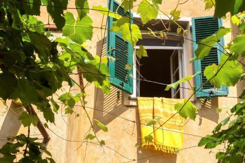 فندق فينالي ليغوريفي  Agriturismo La Selva المظهر الخارجي الصورة
