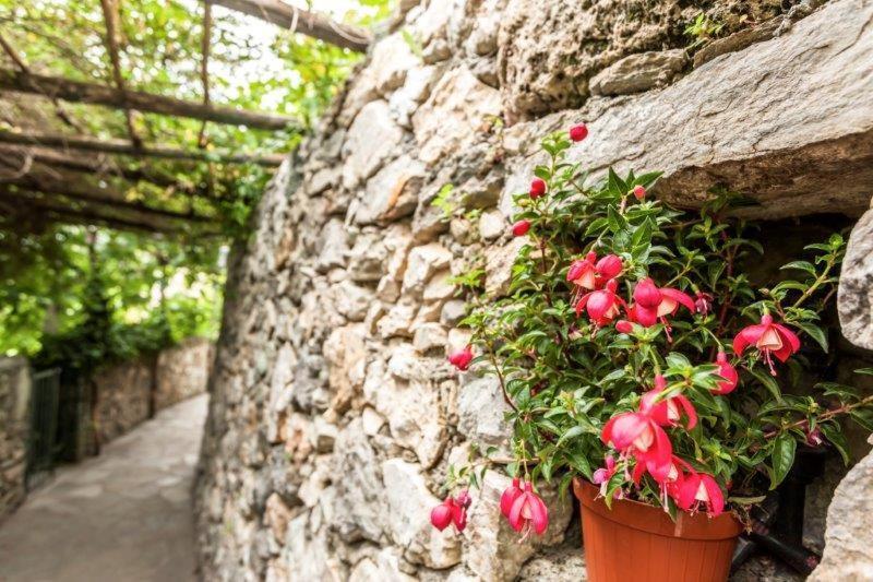 فندق فينالي ليغوريفي  Agriturismo La Selva المظهر الخارجي الصورة