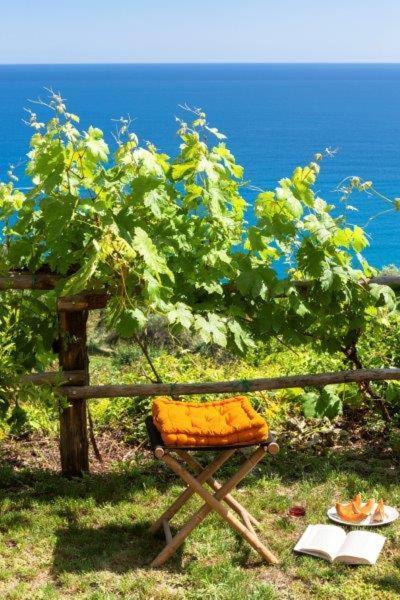 فندق فينالي ليغوريفي  Agriturismo La Selva المظهر الخارجي الصورة