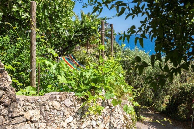 فندق فينالي ليغوريفي  Agriturismo La Selva المظهر الخارجي الصورة