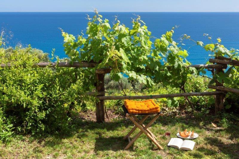 فندق فينالي ليغوريفي  Agriturismo La Selva المظهر الخارجي الصورة