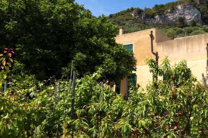 فندق فينالي ليغوريفي  Agriturismo La Selva المظهر الخارجي الصورة