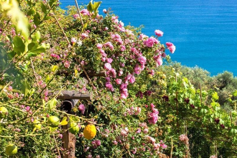 فندق فينالي ليغوريفي  Agriturismo La Selva المظهر الخارجي الصورة