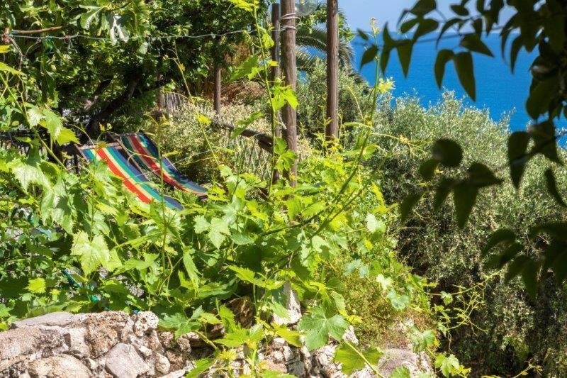 فندق فينالي ليغوريفي  Agriturismo La Selva المظهر الخارجي الصورة