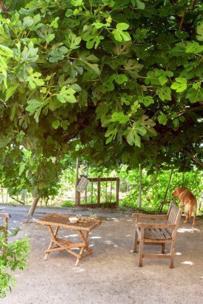 فندق فينالي ليغوريفي  Agriturismo La Selva المظهر الخارجي الصورة